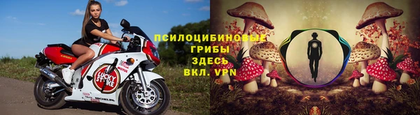spice Липки